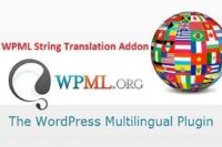 WPML String Translation Addon Pro